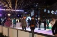 0707-1842 Ice rink (7079813)